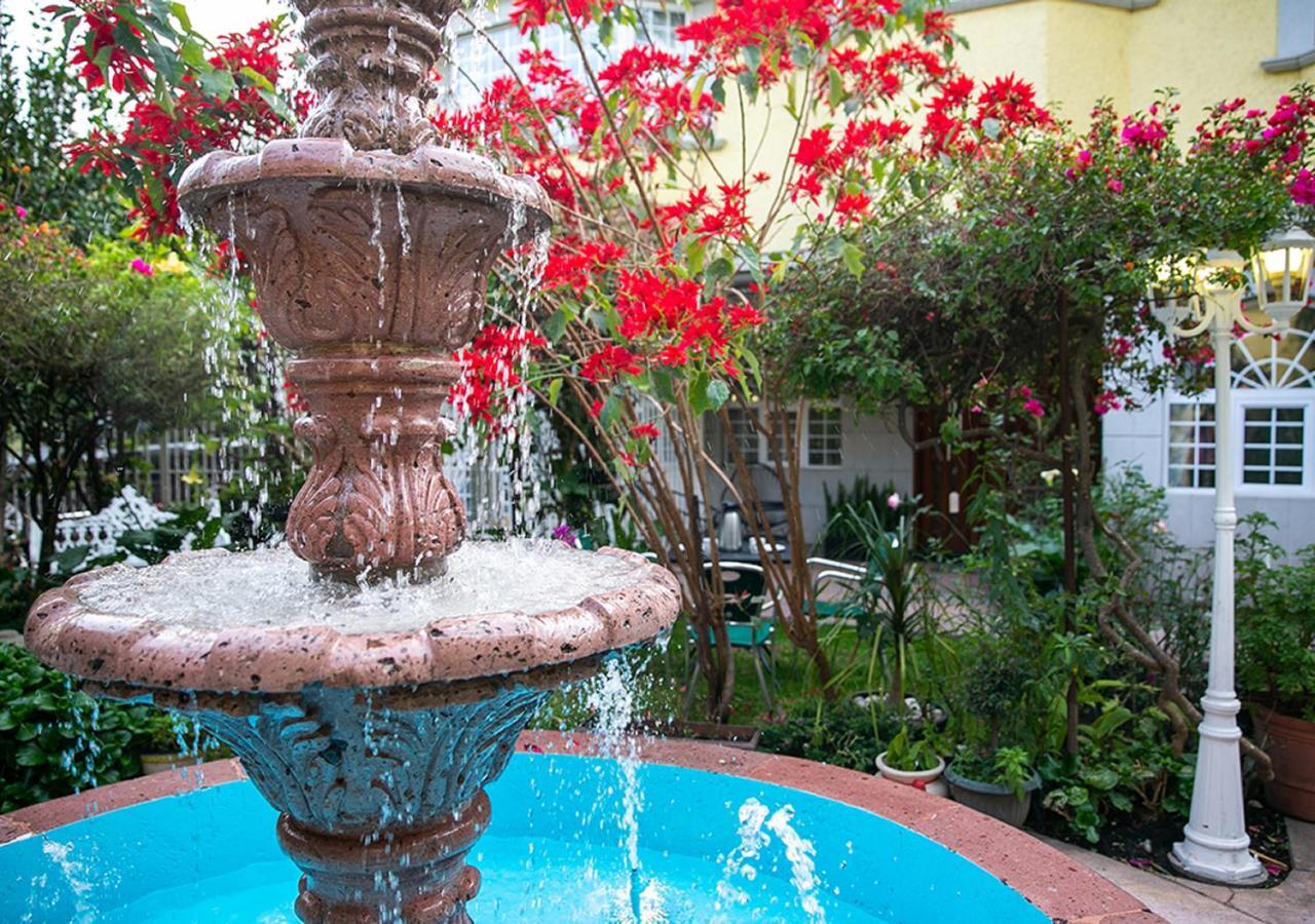 Casa San Pedro Bed & Breakfast Mexico City Luaran gambar